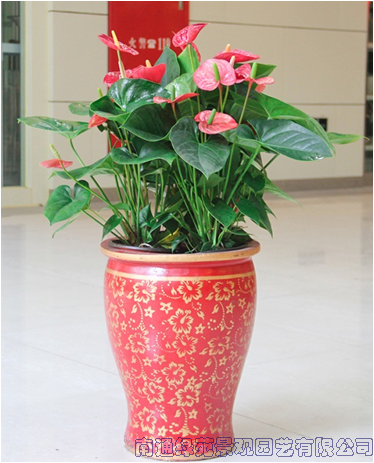 image035.png