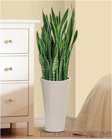 image009.png