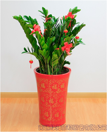 image021.png