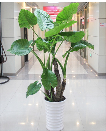 image017.png