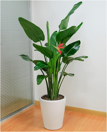 image019.png
