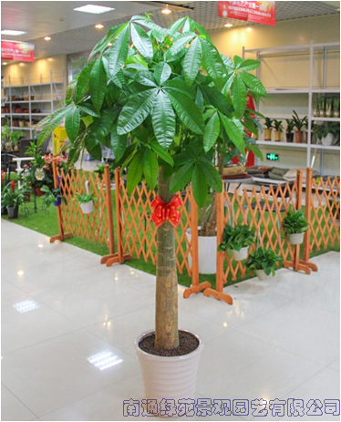 image033.png