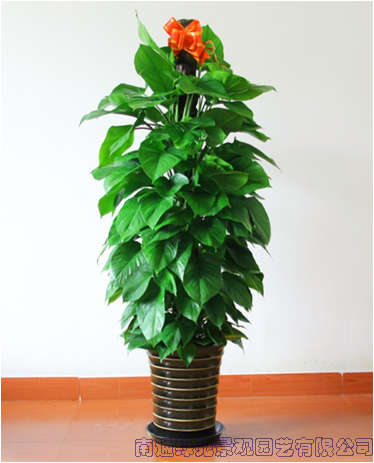 image037.png